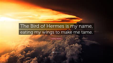 bird of hermes my name.